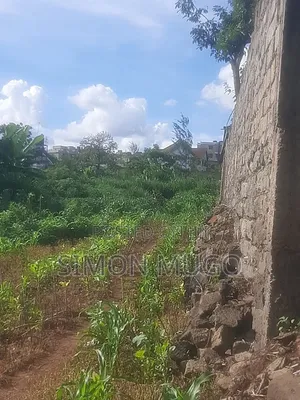 Ruiru Kiambu Road Prime 42 Acre Land