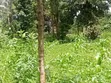Kiota cha 1/4 Eka kwa Uuzaji, Mjini Meru - 2