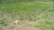 Mwalimu Farm Residential Land, Ruiru East - 3