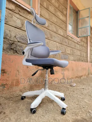 Ergonomic Orthopedic Office Chair