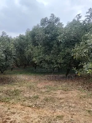 5 Acres Prime Land for Sale at Maragua