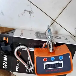 500kg Electronic Hanging/Crane Scale