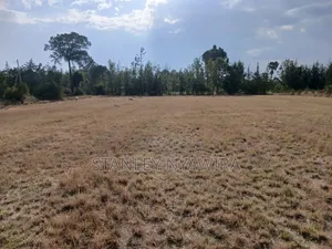 2 Acres Prime Land on Nanyuki-Nyeri Highway