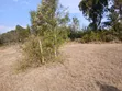 2 Acres Prime Land on Nanyuki-Nyeri Highway - 2