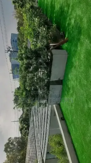 Environmental Friendly Grass Carpets - Rooftops & More