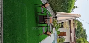 Artificial Grass Carpets for Restaurants & Open Areas
