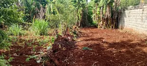 Commercial Land for Sale in Ruaka
