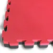 Heavy-Duty EVA Mat 25mm | Gym Weightlifting Flooring - 2