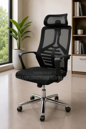 Adjustable Black Executive Mesh Office Chair with Headrest