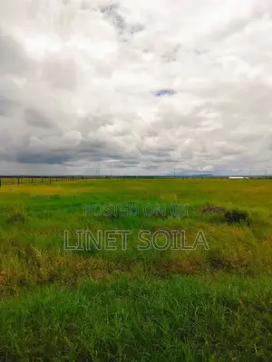 Isinya 50x100 Plots for Sale
