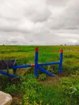 Ardhi ya Matumizi Mchanganyiko Isinya - 3