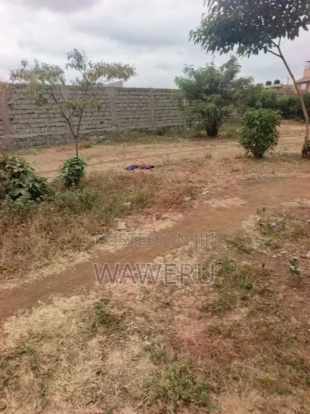 Murera Junction Plots for Sale - 1
