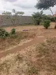 Vipande vya Viwanja Murera Junction kwa Mauzo - 1