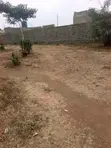 Vipande vya Viwanja Murera Junction kwa Mauzo - 2