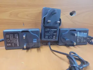 21V 1A Charger