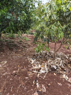 Eneo la Prime la 3/4 Acre kwa Kukodisha Barabara ya Kiambu