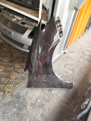 Toyota Wish Fenders 2012/2013