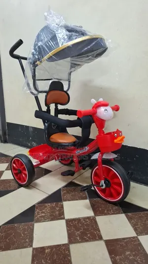 Tricycle with Canopy and Music