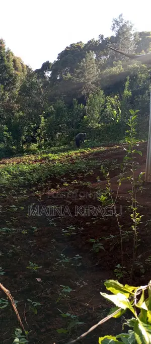 Kitalu cha 50x100 Kinauzwa Kangodo, Dagoretti, Kaunti ya Nairobi