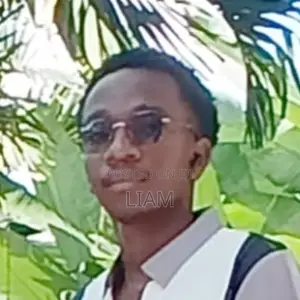 Mtaalamu Mwenye Uchambuzi na Mwelekeo wa Suluhisho