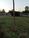 Vipande Viwili vya Ardhi Vinauzwa Mtambo - 2