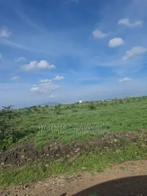 Mixed-Use 50x100 Plot with Title Deed