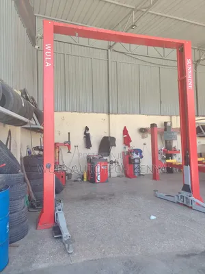 Sunshine 4-Ton 2-Post Hydraulic Car Lift