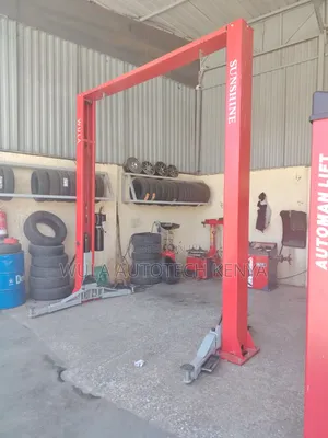 Sunshine 4-Ton 2-Post Car Lift