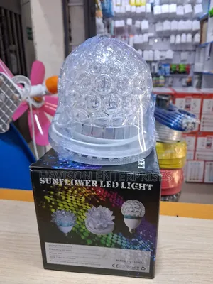 Decorative LED Light