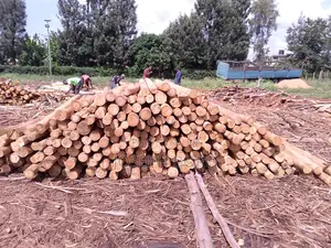 Timber Posts and Poles