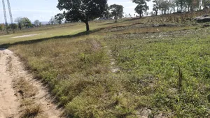 2 Acres Land for Sale - Mazeras, Kokoteni