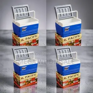 Strong and Durable 4.5L Handheld Portable Cooler Box Ice Box.