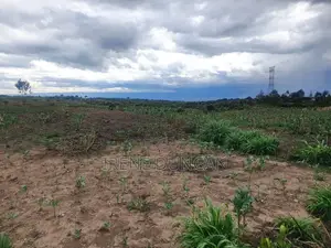 Eka 1 ya Ardhi Inauzwa Isinya, Kajiado
