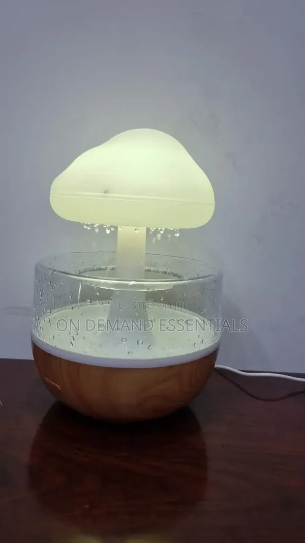 Sound of Rain Rechargeable CLOUD RAIN HUMIDIFIER - 1