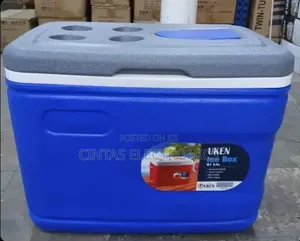 31 Litters Cooler Box