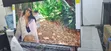 TCL 75 Inch V6d Google TV - 2