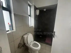 Furnished 1bdrm Apartment in Pangani Oasis for sale