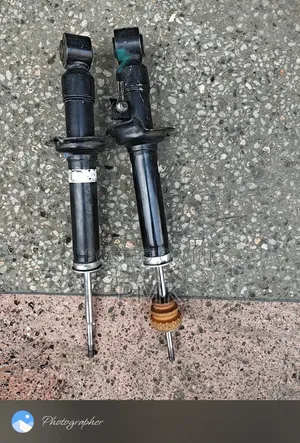 Honda Odyssey Rear Shocks (Used)