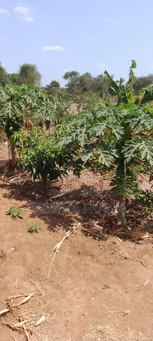 Kiwanja cha Ardhi kwa Uuzaji Matuu Kivandini