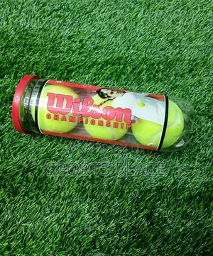 Wilson Championship Tennis Balls (3 Pack)