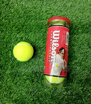 Wilson Extra Duty Championship Tennis Balls (3 Pack)