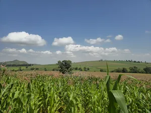 Eka 200 za Kilimo Zauzwa Kabazi