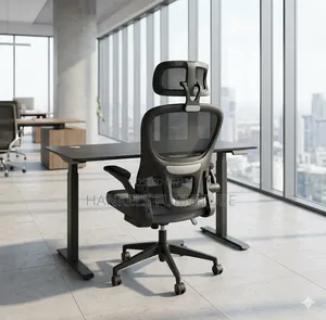 Kiti cha Orthopedic na Dawati la Umeme Linaloweza Kurekebishwa | Ofisi ya Ergonomic