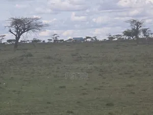 Eka 2,000 za Kichaka Bure, Rumuruti, Kaunti ya Laikipia