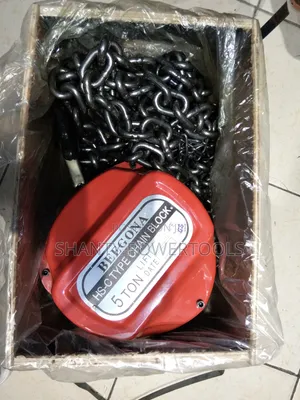 Beegona Chain Block 5 Ton