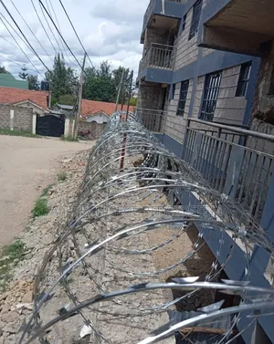 10 Meters Double Galvanized Razor Wire