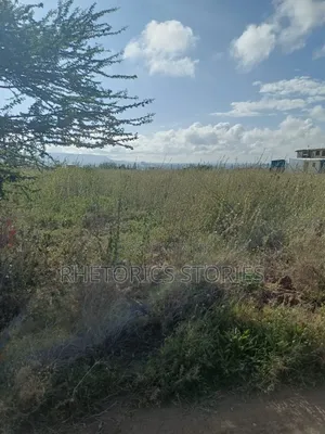 Prime 100x100 Commercial Plot for Sale Near Great Wall Gardens, Mavoko
