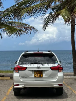Toyota Corolla Fielder 2019 Nyeupe