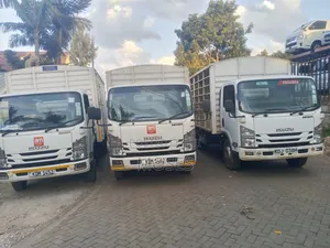 Isuzu NQR Short Truck 2023