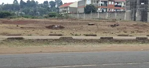 Plot ya 100x100 Inauzwa - Kikuyu Thogoto